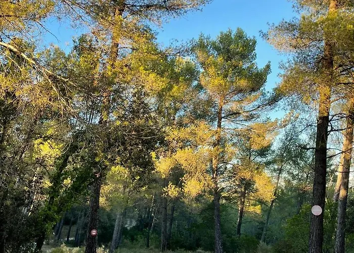 Charming Provencal With Exclusive Privacy * Aix-en-Provence